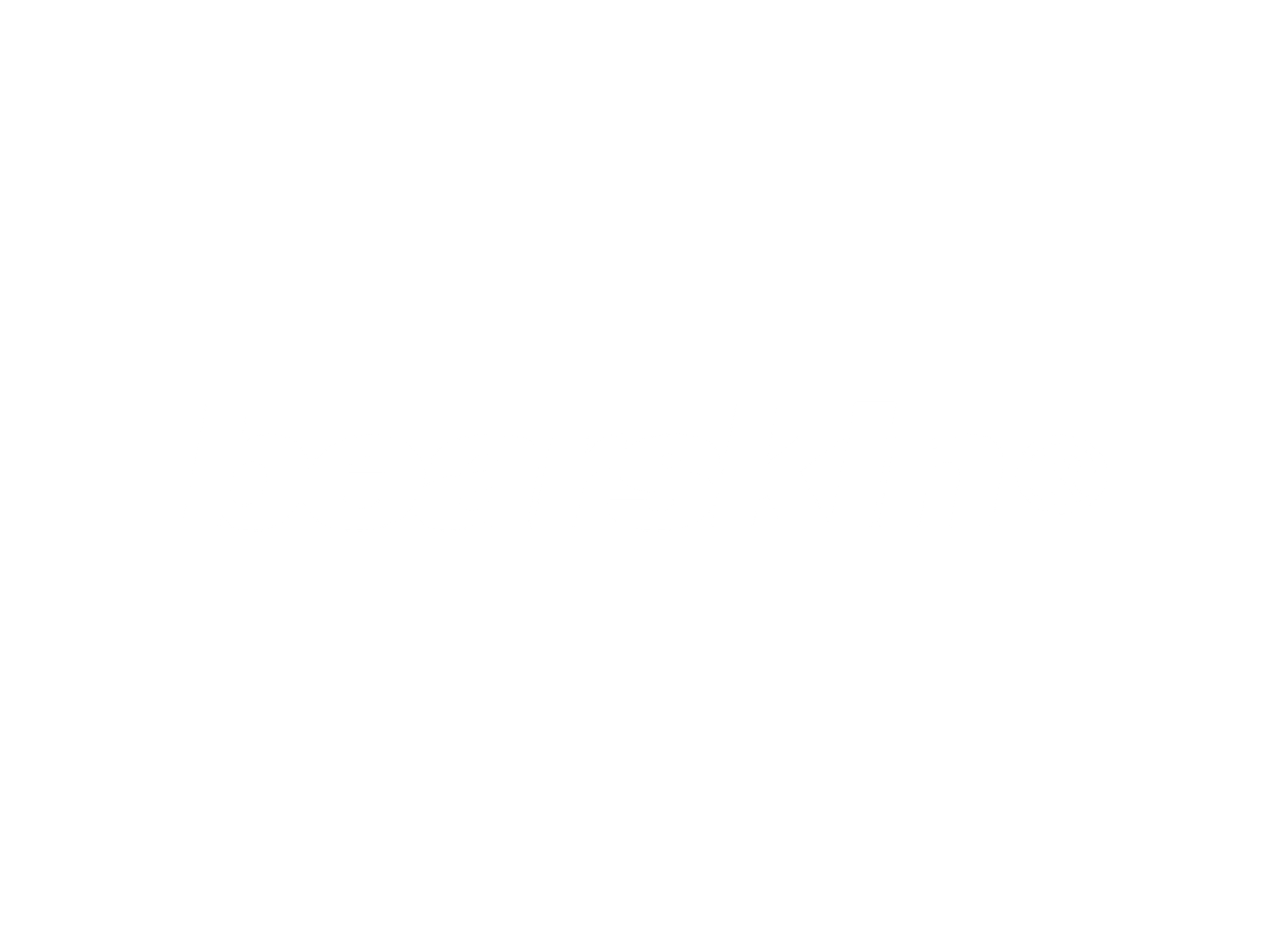 Bearskin Logo